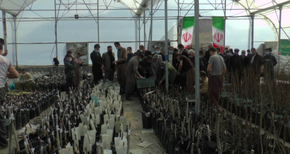 افتتاح و بهره برداری گلخانه کاشت نشاء در روستای بیشاسب