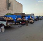 جانمایی و ساماندهی وانت های میوه فروش در سطح شهر سردشت