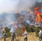 هشدار اداره منابع طبیعی سردشت نسبت به احتمال وقوع آتش‌سوزی در اراضی جنگلی و مراتع