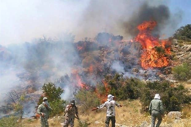 هشدار اداره منابع طبیعی سردشت نسبت به احتمال وقوع آتش‌سوزی در اراضی جنگلی و مراتع