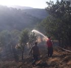 آتش سوزی در جنگل های ” باسکدو ” سردشت مهار شد
