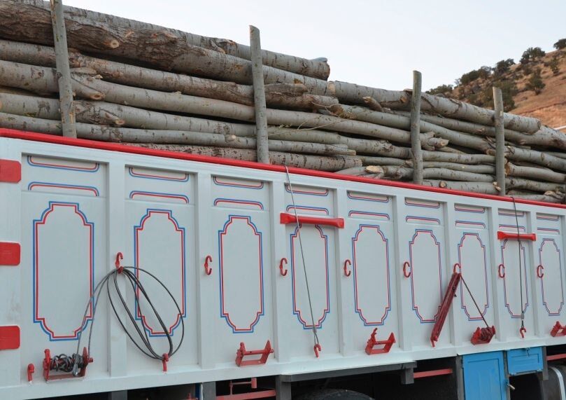 توقیف کامیون حامل ۶ تن چوب قاچاق توسط ماموران انتظامی سردشت