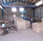 افتتاح کارگاه تولید الوار چوب در سردشت