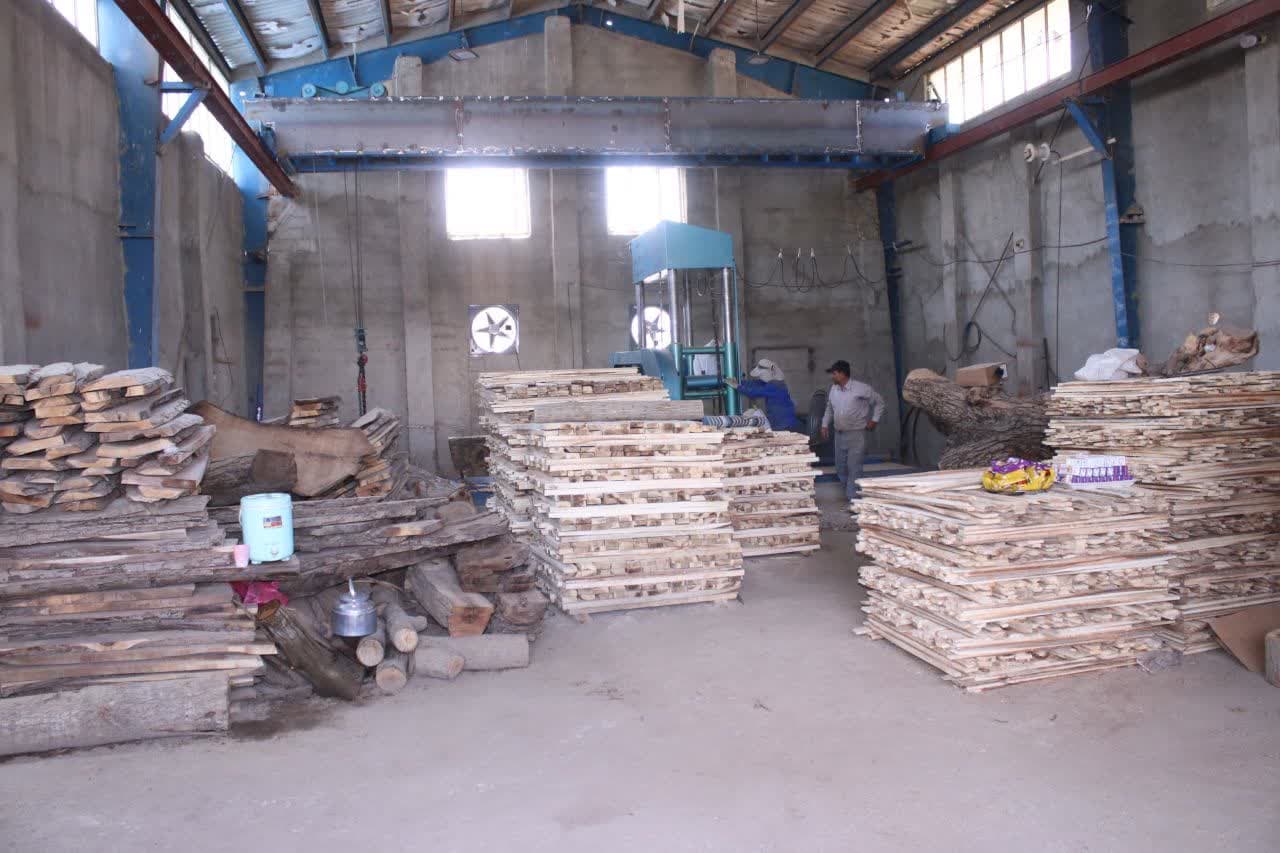 افتتاح کارگاه تولید الوار چوب در سردشت