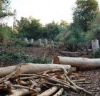 تخریب ۵۰۰۰ مترمربع اراضی ملی در مناطق جنگلی سردشت